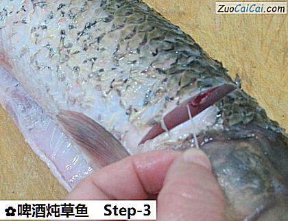 啤酒炖草鱼做法第三步骤