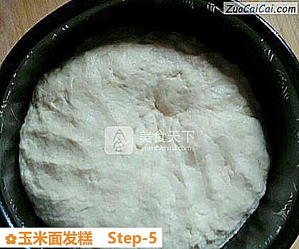 玉米面发糕做法第五步骤