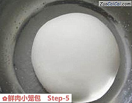 鲜肉小笼包做法第五步骤