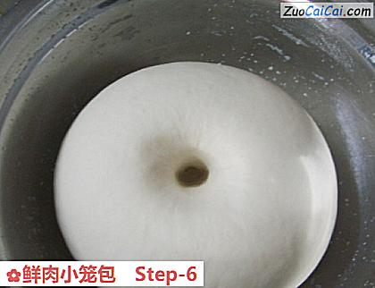 鲜肉小笼包做法第六步骤