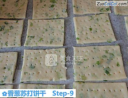 香葱苏打饼干做法第九步骤