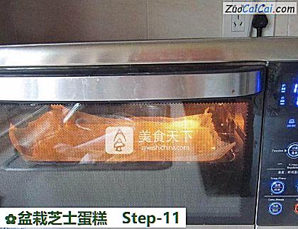 盆栽芝士蛋糕做法第十一步骤