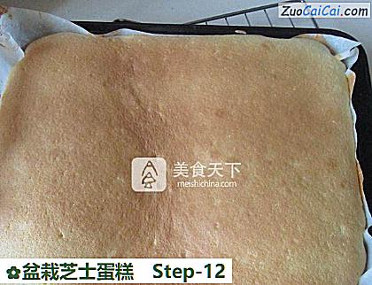 盆栽芝士蛋糕做法第十二步骤