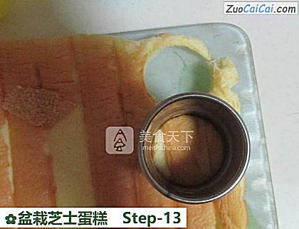 盆栽芝士蛋糕做法第十三步骤