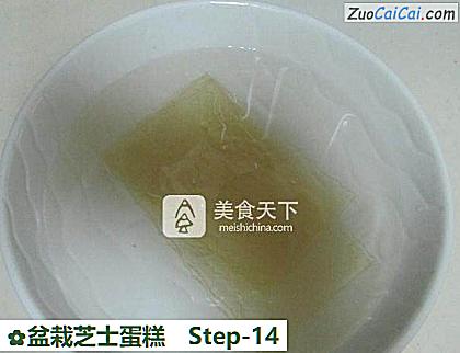 盆栽芝士蛋糕做法第十四步骤