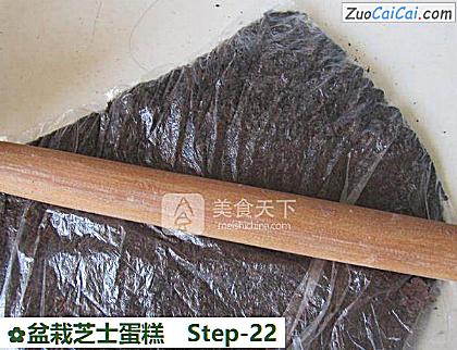 盆栽芝士蛋糕做法第二十二步骤