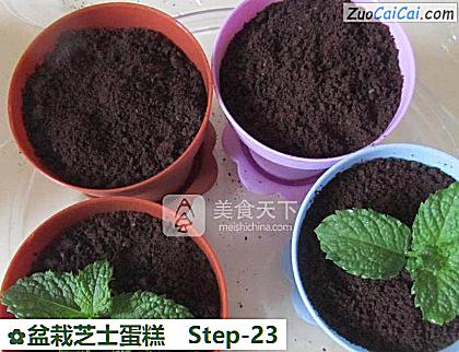 盆栽芝士蛋糕做法第二十三步骤