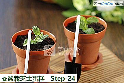 盆栽芝士蛋糕做法第二十四步骤