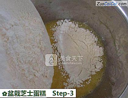 盆栽芝士蛋糕做法第三步骤