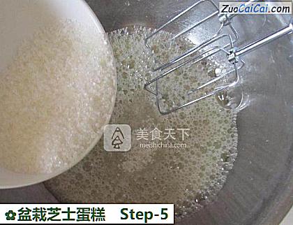 盆栽芝士蛋糕做法第五步骤