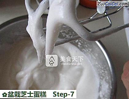 盆栽芝士蛋糕做法第七步骤