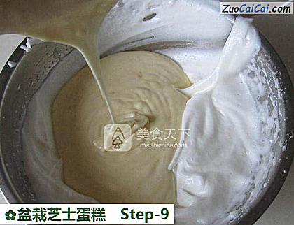 盆栽芝士蛋糕做法第九步骤