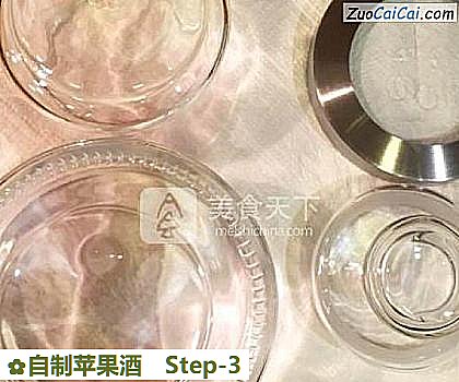 自制苹果酒做法第三步骤