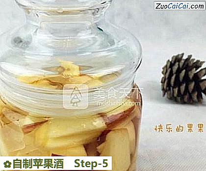 自制苹果酒做法第五步骤
