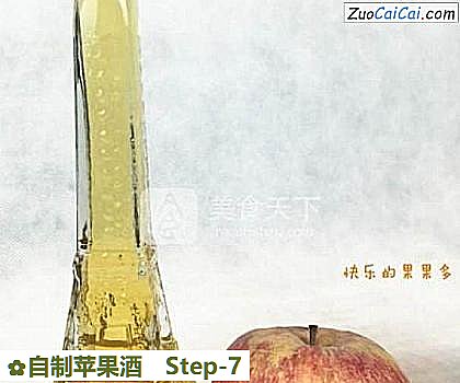 自制苹果酒做法第七步骤