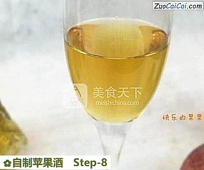 自制苹果酒做法第八步骤