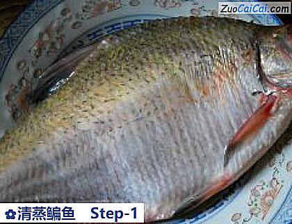 清蒸鳊鱼做法第一步骤