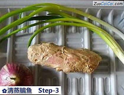 清蒸鳊鱼做法第三步骤