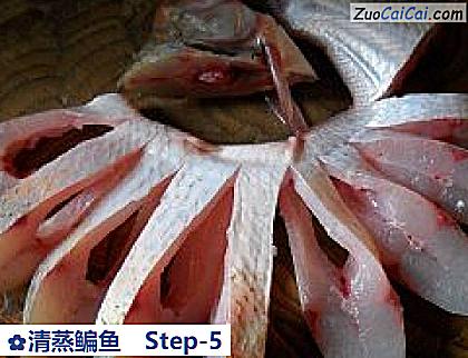 清蒸鳊鱼做法第五步骤