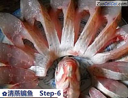 清蒸鳊鱼做法第六步骤