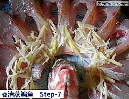 清蒸鳊鱼做法第七步骤