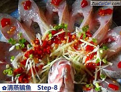 清蒸鳊鱼做法第八步骤