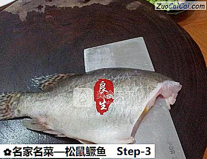 松鼠鳜鱼做法第三步骤