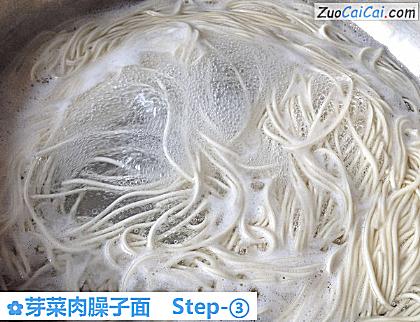 芽菜肉臊子面做法第三步骤