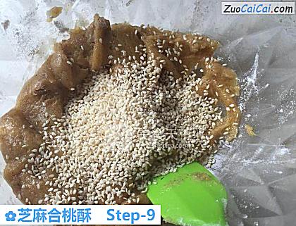 芝麻合桃酥做法第九步骤