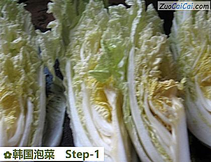 韩国泡菜做法第一步骤