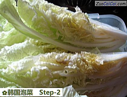 韩国泡菜做法第二步骤