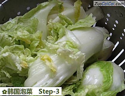 韩国泡菜做法第三步骤