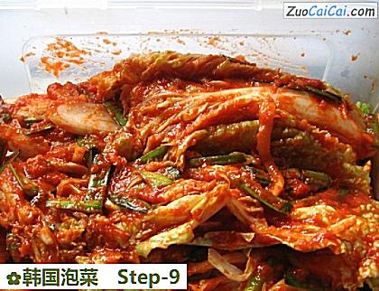 韩国泡菜做法第九步骤