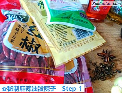 秘制麻辣油泼辣子做法第一步骤