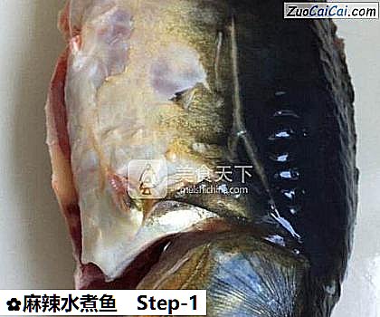 麻辣水煮鱼做法第一步骤