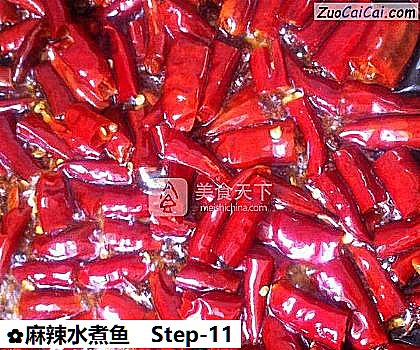 麻辣水煮鱼做法第十一步骤