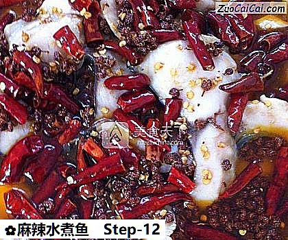 麻辣水煮鱼成品图3