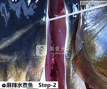 麻辣水煮鱼做法第二步骤
