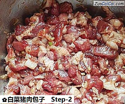 白菜猪肉包子做法第二步骤
