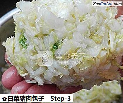 白菜猪肉包子做法第三步骤