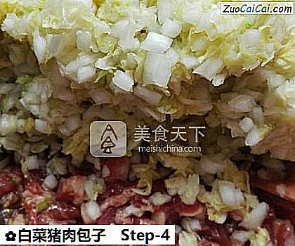 白菜猪肉包子做法第四步骤