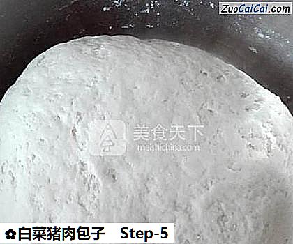 白菜猪肉包子做法第五步骤