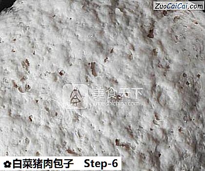 白菜猪肉包子做法第六步骤