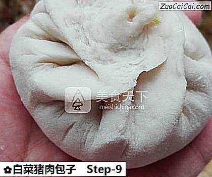白菜猪肉包子做法第九步骤