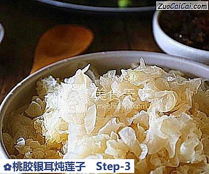 桃胶银耳炖莲子做法第三步骤