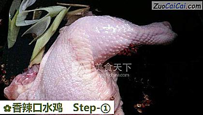 香辣口水鸡做法第一步骤