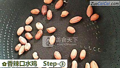香辣口水鸡做法第三步骤