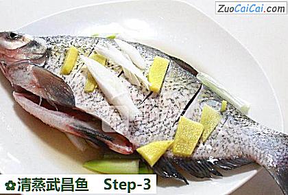 清蒸武昌鱼做法第三步骤