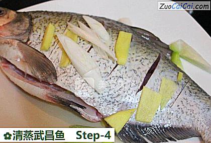 清蒸武昌鱼做法第四步骤