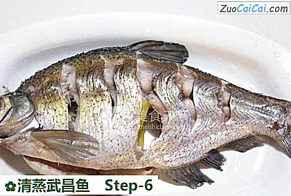 清蒸武昌鱼做法第六步骤